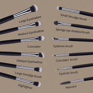 12-Piece Eye Makeup Brush Set