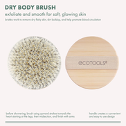 Cruelty-Free Natural Bristle Dry Body Brush