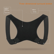 Standing & Sitting Posture Support Belt